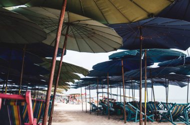 Plaj şemsiyeleri ve plaj sandalyeleri