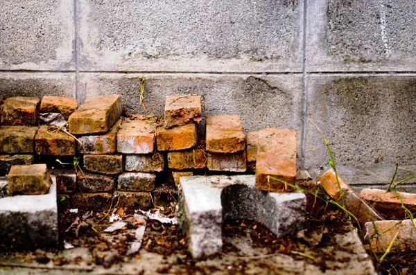 Red brick laying on the wall