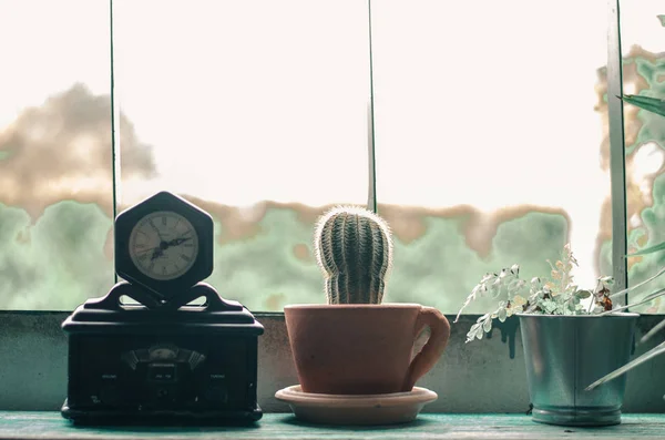 Antik órák és kaktusz helyezkednek el az ablak. — Stock Fotó