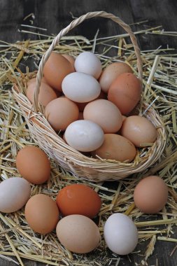 samanlarn uzerinde sepet icerisinde ve disinde  organik sari ve beyaz yumurtalar