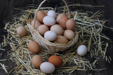 samanlarn uzerinde sepet icerisinde ve disinde  organik sari ve beyaz yumurtalar