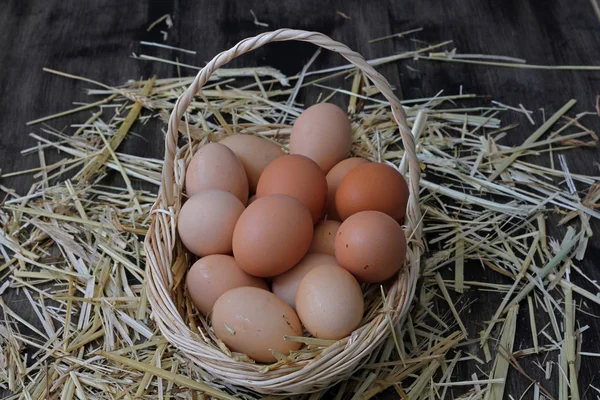 Samanlarn Uzerinde Sepet Icerisinde Organik Yumurtalar — Stockfoto