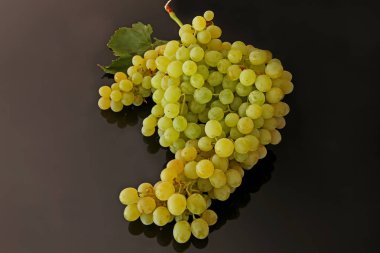 Siyah zemin uzerinde cekirdeksiz sari  uzum 