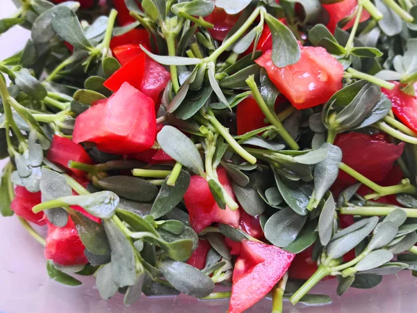 Salad Natural Purslane Portulaca Oleracea — 스톡 사진