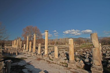 Türkiye / Aydn / Karacasu Aphrodisias antik kent & müzesi.