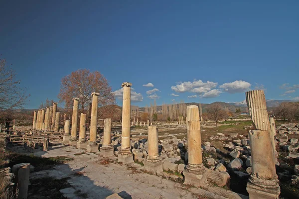 Τουρκία Άιντν Καρακάσου Αφροδίτη Αρχαία Πόλη Μουσείο — Φωτογραφία Αρχείου