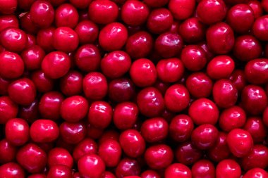 Kırmızı kirazlar. Olgun kiraz yığını.