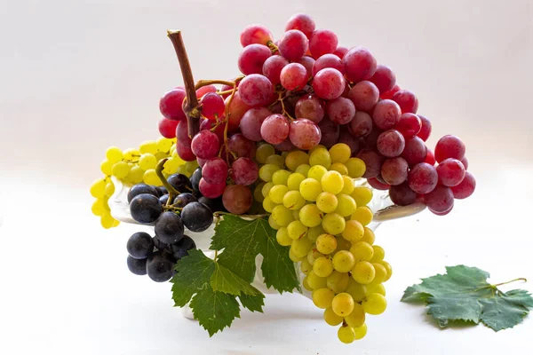 Uvas Negras Amarillas Rojas Sobre Fondo Blanco — Foto de Stock