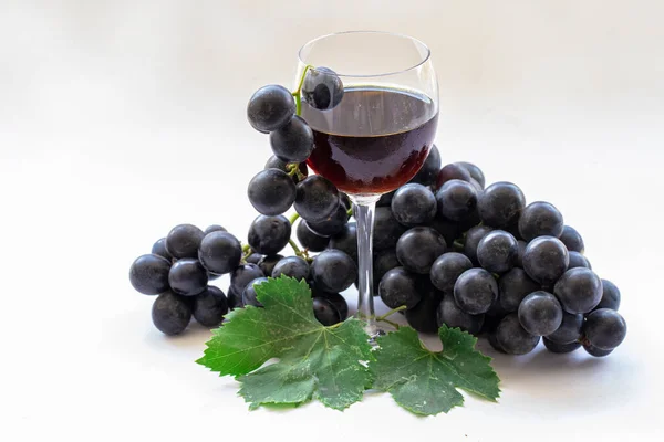 Чорний Виноград Червоне Вино Келиху Білому Тлі — стокове фото