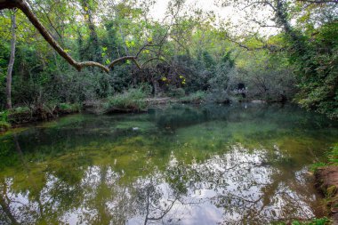 Kursunlu Şelalesi (Türkçe: Kursunlu selalesi) Antalya 'ya 19 km uzaklıkta yer almaktadır. Burası yerel ve yabancı turistlerin sık sık ziyaret ettiği güzel bir doğal bölge..