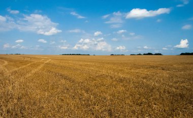 anız mavi gökyüzü