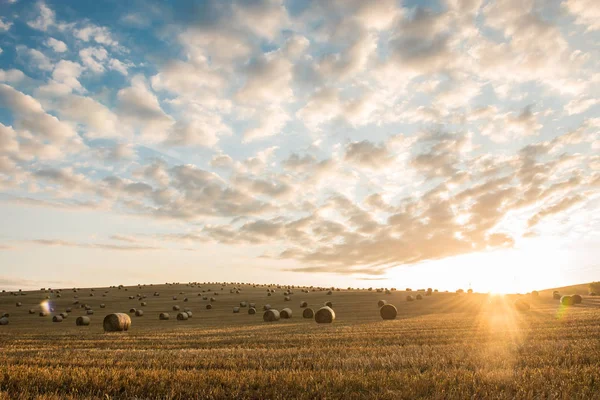 Balle Paglia Sono Bellissimo Scenario — Foto Stock