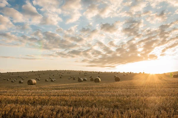 Balles Paille Sont Beau Paysage — Photo