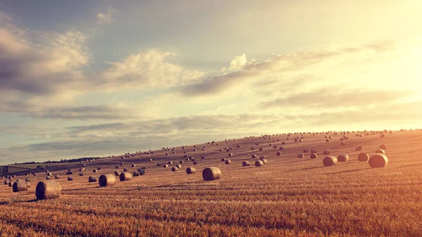 Balle Paglia Sono Bellissimo Scenario — Foto Stock