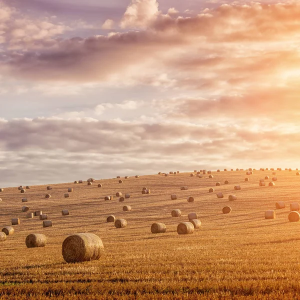 Balle Paglia Sono Bellissimo Scenario — Foto Stock