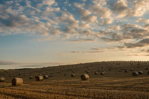 Balle Paglia Sono Bellissimo Scenario — Foto Stock