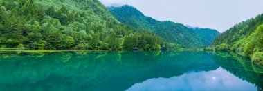 Jiuzhaigou sahne, Çin - Haziran 15, 2017: Bu Çin'in jiuzhaigou doğal alanda bulunan, Çin'de ünlü bir turistik yer.Çoğu bozulmamış. Gölün rengi doğanın rengidir..