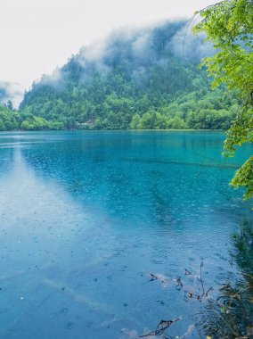 Jiuzhaigou sahne, Çin - Haziran 15, 2017: Bu Çin'in jiuzhaigou doğal alanda bulunan, Çin'de ünlü bir turistik yer.Çoğu bozulmamış. Gölün rengi doğanın rengidir..