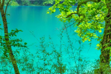 Jiuzhaigou göl ve orman ağaçları jiuzhaigou Çin'de ünlü bir doğal doğal noktadır.Kalın ormanlar ve bitki örtüsü vardır. Ayrıca çoğunlukla dağlarla çevrili farklı göller de vardır.