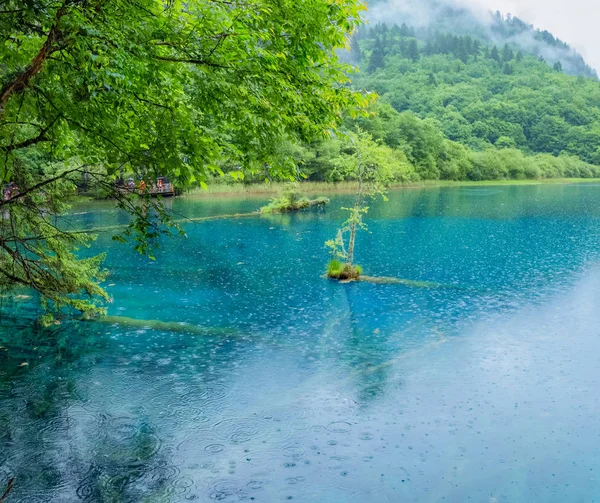 Jiuzhaigou sahne, Çin - Haziran 15, 2017: Bu Çin'in jiuzhaigou doğal alanda bulunan, Çin'de ünlü bir turistik yer.Çoğu bozulmamış. Gölün rengi doğanın rengidir..