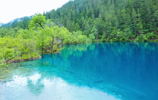 Krajobrazy Jiuzhaigou Chiny Czerwca 2017 Znajduje Się Jiuzhaigou Malowniczej Okolicy — Zdjęcie stockowe