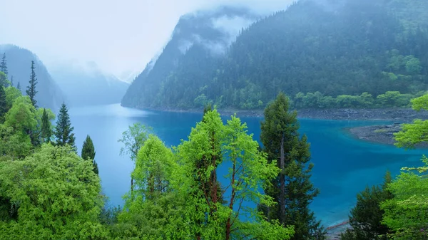 Озеро Jiuzhaigou Лісові Дерева Китаї Jiuzhaigou Відомим Природним Мальовничим Місцем — стокове фото