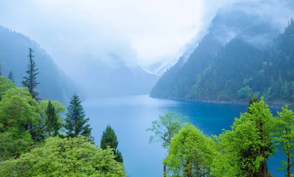 Jiuzhaigou lake and forest trees in  China, jiuzhaigou is a famous natural scenic spot in China.There are thick forests and vegetation.There are also distinctive lakes, mostly surrounded by mountain