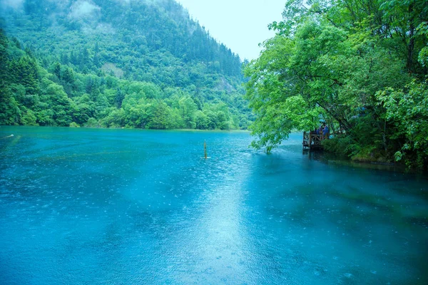 Jiuzhaigou sahne, Çin - Haziran 15, 2017: Bu Çin'in jiuzhaigou doğal alanda bulunan, Çin'de ünlü bir turistik yer.Çoğu bozulmamış. Gölün rengi doğanın rengidir..