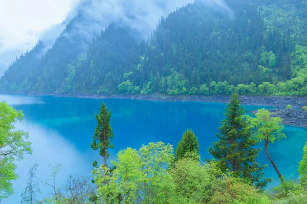 Озеро Jiuzhaigou Лісові Дерева Китаї Jiuzhaigou Відомим Природним Мальовничим Місцем — стокове фото