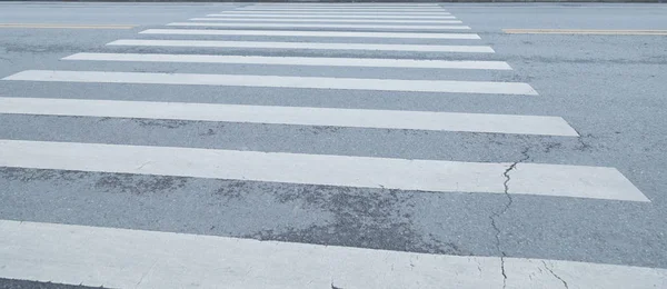 Diese Straße Befindet Sich Auf Dem Campus Der Universität Ist — Stockfoto