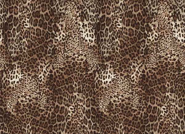 Pele de leopardo sem costura . — Fotografia de Stock