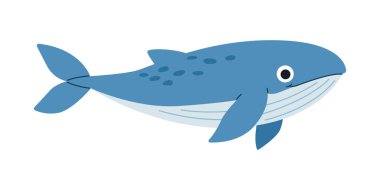 Beyaz arka planda şirin mavi balina çizimi, çocukların eğitim projeleri, deniz yaşamı farkındalığı, okyanus temalı yaratıcı tasarımlar ve oyuncu sanatsal dekorasyonlar için mükemmel.