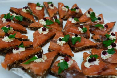 Atıştırmalıklar, lezzetli sağlıklı gıda Sağlık için. Tatil aperatifler