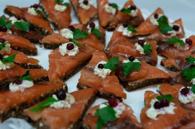 Atıştırmalıklar, lezzetli sağlıklı gıda Sağlık için. Tatil aperatifler