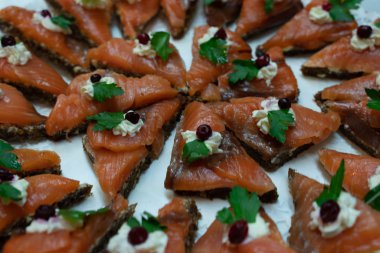 Atıştırmalıklar, lezzetli sağlıklı gıda Sağlık için. Tatil aperatifler