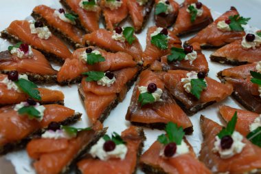 Atıştırmalıklar, lezzetli sağlıklı gıda Sağlık için. Tatil aperatifler