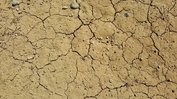Rachaduras no solo durante o calor. Textura de fundo — Fotografia de Stock