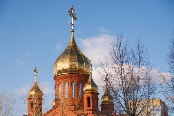 Old red brick Christian church in Kemerovo with golden and gilded domes against a blue sky and tree branches. Concept of faith in god, orthodoxy, prayer