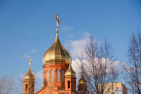 Old red brick Christian church in Kemerovo with golden and gilded domes against a blue sky and tree branches. Concept of faith in god, orthodoxy, prayer