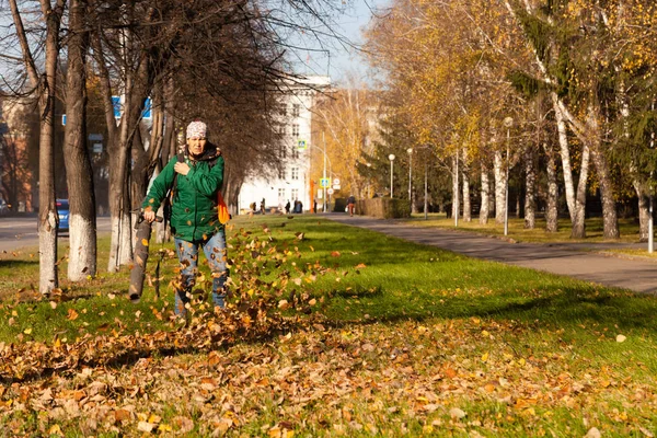 Janitors in uniform with a vacuum cleaner removes fallen yellow leaves from green grass on an autumn street in a city park. The concept of clean city and work in the fresh air