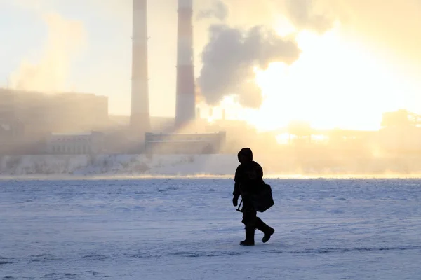 Pêche Hiver Passion Des Hommes Pêcheurs Attrapent Poisson Sur Une — Photo