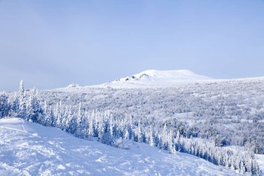 Üst dağ manzara panoramik manzaralı alansal görünümünden kış Vadisi, ağaçlar, tepeler ve dağlar karla kaplı tepeler. Kavram İsviçre Alpleri, Krasnaya Polyana, Soçi, Sheregesh, Avusturya