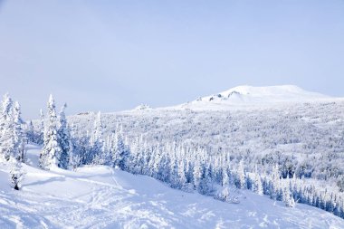 Üst dağ manzara panoramik manzaralı alansal görünümünden kış Vadisi, ağaçlar, tepeler ve dağlar karla kaplı tepeler. Kavram İsviçre Alpleri, Krasnaya Polyana, Soçi, Sheregesh, Avusturya