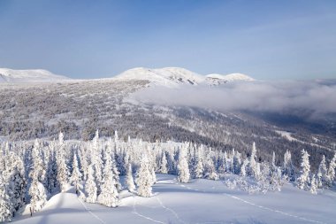 Üst dağ manzara panoramik manzaralı alansal görünümünden Dağları ve ağaçları, hills, sis, bulutlar karla kaplı dorukları Vadisi, kış. Kavram İsviçre Alpleri, Krasnaya Polyana, Soçi, Sheregesh, Avusturya
