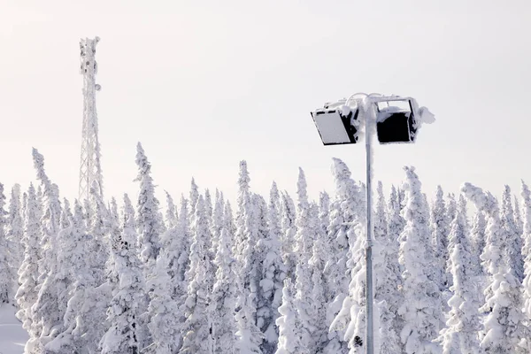 Lantaarn Achtergrond Schilderachtig Uitzicht Met Besneeuwde Bomen Concept Zwitserse Alpen — Stockfoto