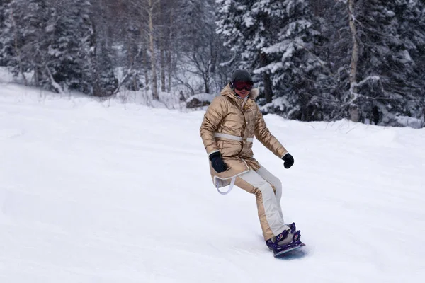 Ρωσία Sheregesh 2018 Γυναίκα Επαγγελματίας Snowboarder Χρυσή Αθλητικά Είδη Ιππασίας — Φωτογραφία Αρχείου