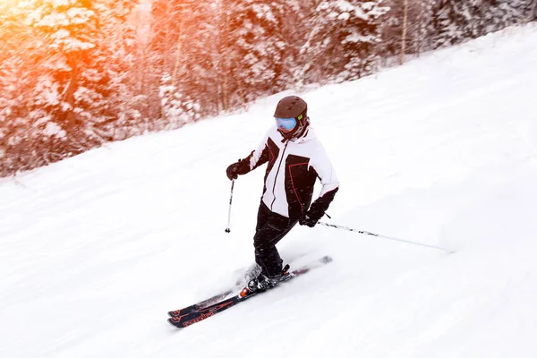 俄罗斯 谢雷格什2018 专业滑雪者在明亮的运动服和装备滑雪下坡在雪阳光明媚的高山 软聚焦 物体在运动 安全休息的概念 — 图库照片