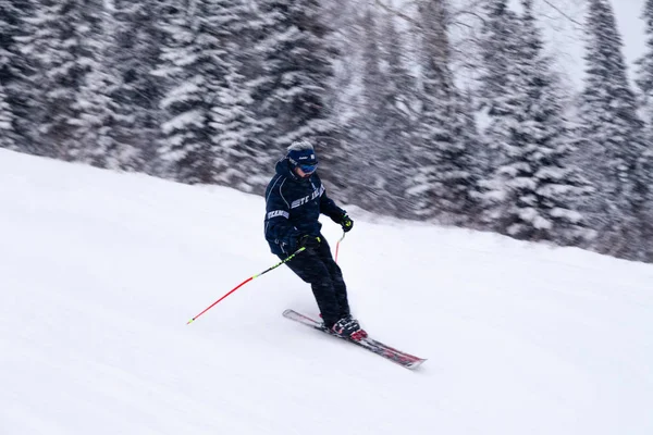俄罗斯 谢雷格什2018 专业滑雪者在明亮的运动服和装备滑雪下坡在雪阳光明媚的高山 软聚焦 物体在运动 安全休息的概念 — 图库照片