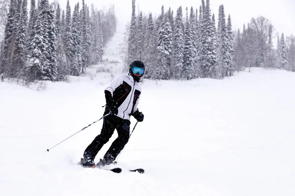 俄罗斯 谢雷格什2018 专业滑雪者在明亮的运动服和装备滑雪下坡在雪阳光明媚的高山 软聚焦 物体在运动 安全休息的概念 — 图库照片