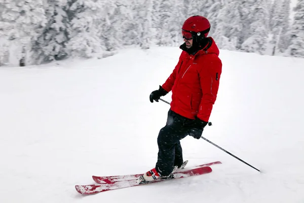 俄罗斯 谢雷格什2018 专业滑雪者在明亮的运动服和装备滑雪下坡在雪阳光明媚的高山 软聚焦 物体在运动 安全休息的概念 — 图库照片